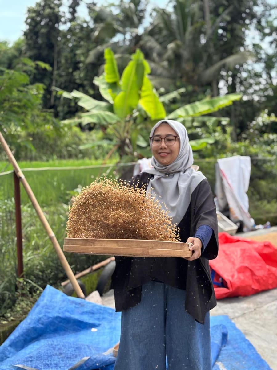 Holding a tray of harvested rice in the village