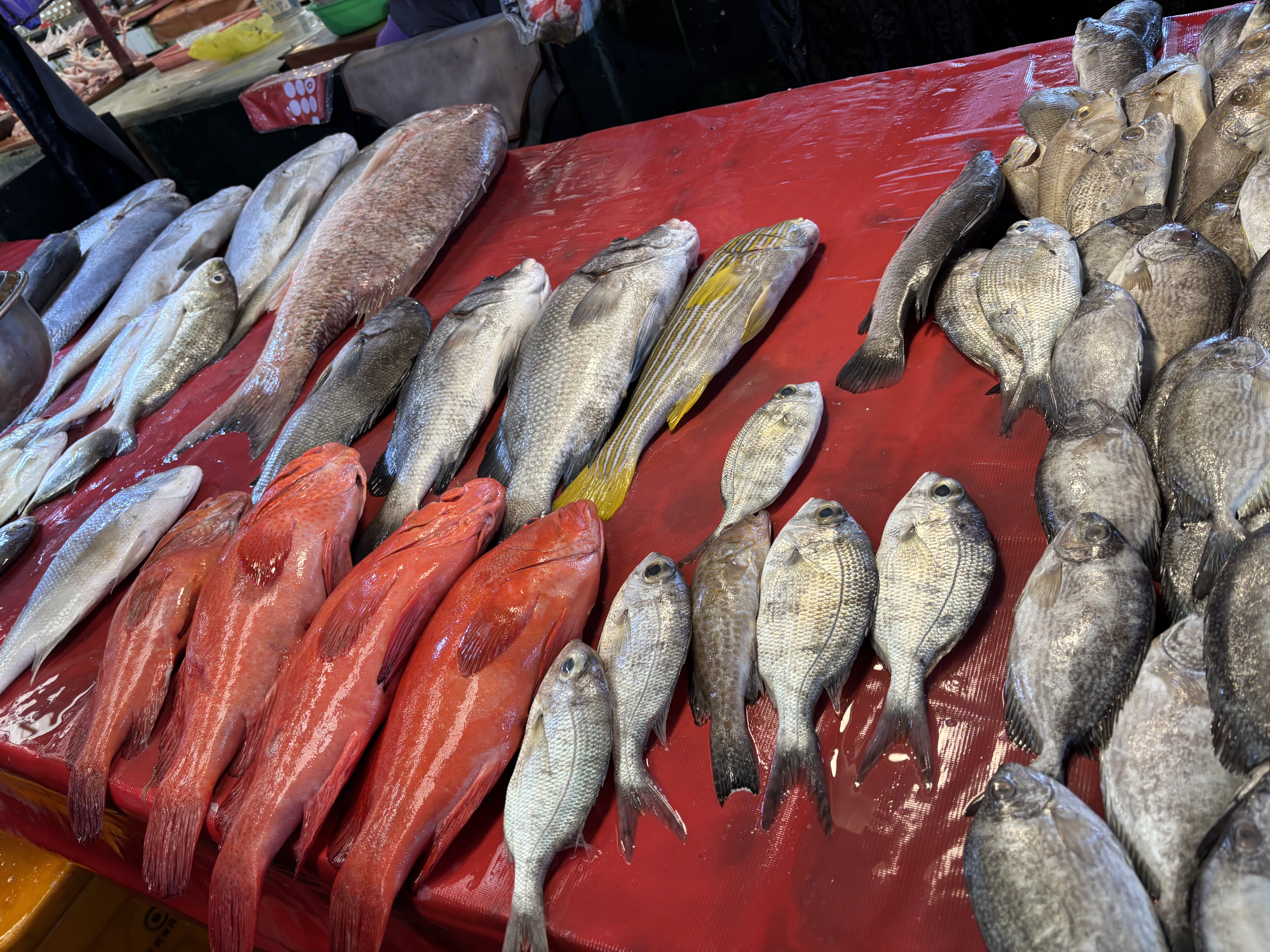 A variety of Indonesian seafood
